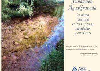 FUNDACIÓN AGUA GRANADA LES DESEA FELICIDAD EN ESTAS FIESTAS NAVIDEÑAS Y EN EL 2021