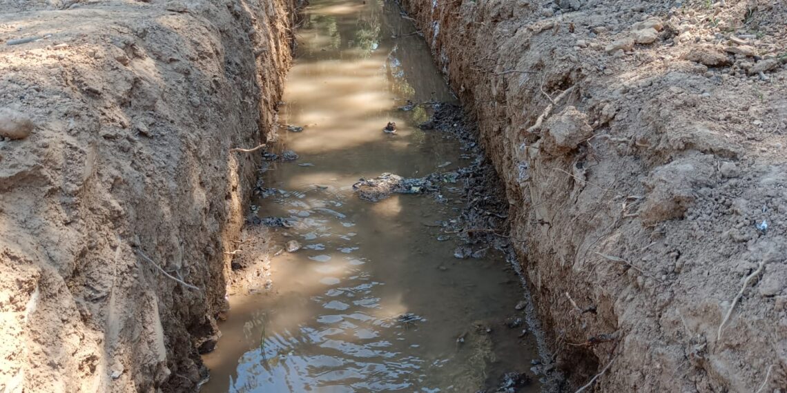 UN NUEVO MILENIO PARA AYNADAMAR