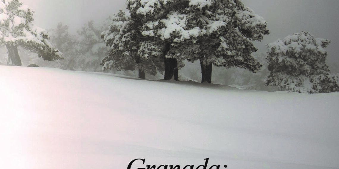 XI CONCURSO DE FOTOGRAFÍA AGUA GRANADA