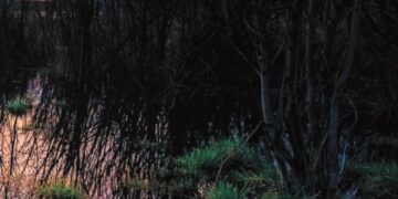 XII Concurso de Fotografía Fundación AguaGranada «Sierra Nevada, el origen del agua.