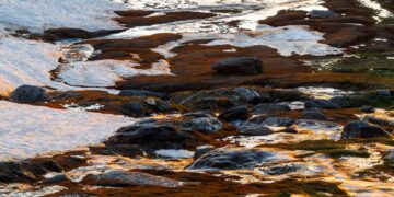 Imágenes de flora y paisajes nevadenses galardonados con el premio AguaGranada de Fotografía