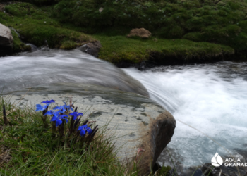 Entrega de premios del XII Concurso de Fotografía AguaGranada e Inauguración de la exposición «Sierra Nevada, el origen del Agua»