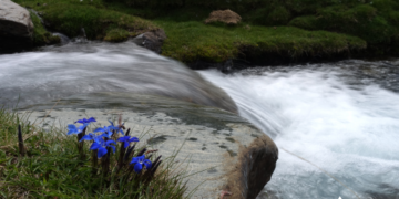 Entrega de premios del XII Concurso de Fotografía AguaGranada e Inauguración de la exposición «Sierra Nevada, el origen del Agua»