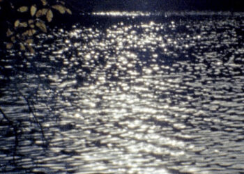 Se inicia la Competición Agua Espejo de Fundación Agua Granada en el Festival de Jóvenes Realizadores