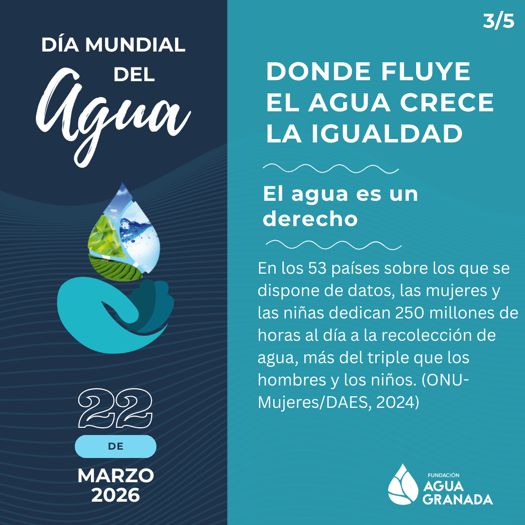 Día Mundial del Agua 2026 — “Donde fluye el agua, crece la igualdad ...