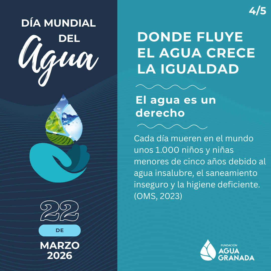Día Mundial del Agua 2026 — “Donde fluye el agua, crece la igualdad ...