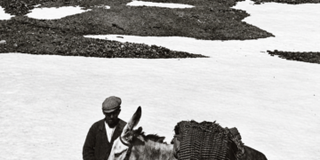 Historia y territorio: la ruta de los neveros